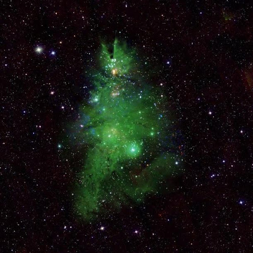 NGC 2264 Telescopes Illuminate ‘Christmas Tree Cluster’ seen by Chandra X ray Observatory