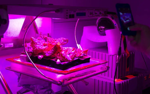 Inside the International Space Station Environmental Simulator chamber at Kennedy's Space Station
