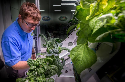 NASA’s Matt Romeyn works in the Crop Food Production Research Area of the Space Station Processing Facility at the agency’s Kennedy Space Center in Florida